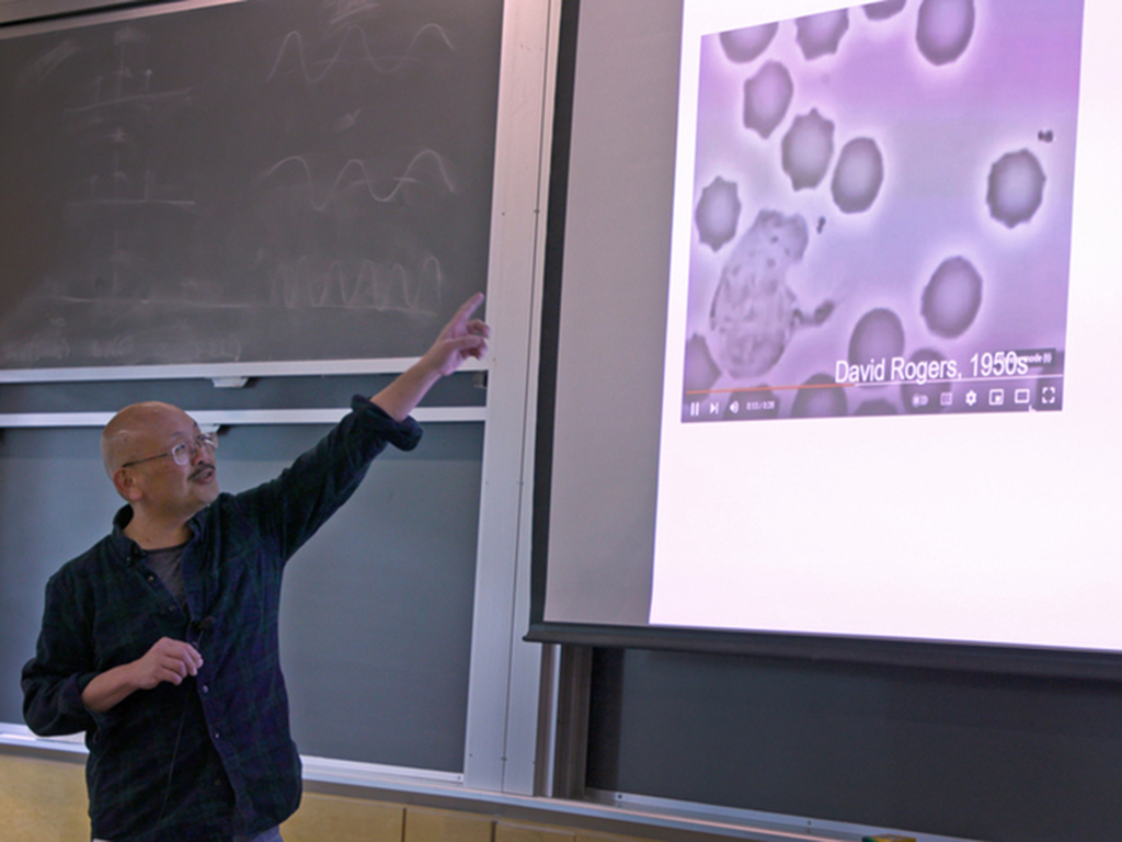 Professor pointing at board where cell-like objects appear