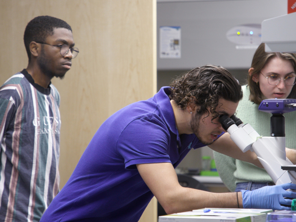 three students in a lab with one looking into a microscope