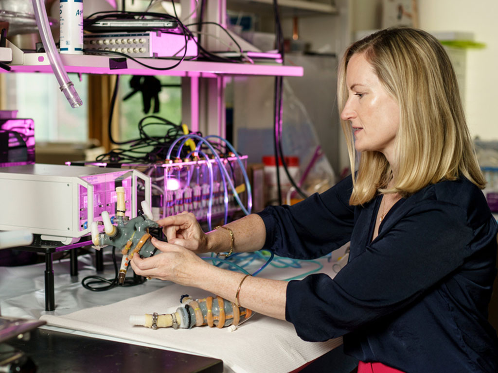 Ellen Roche in the Lab