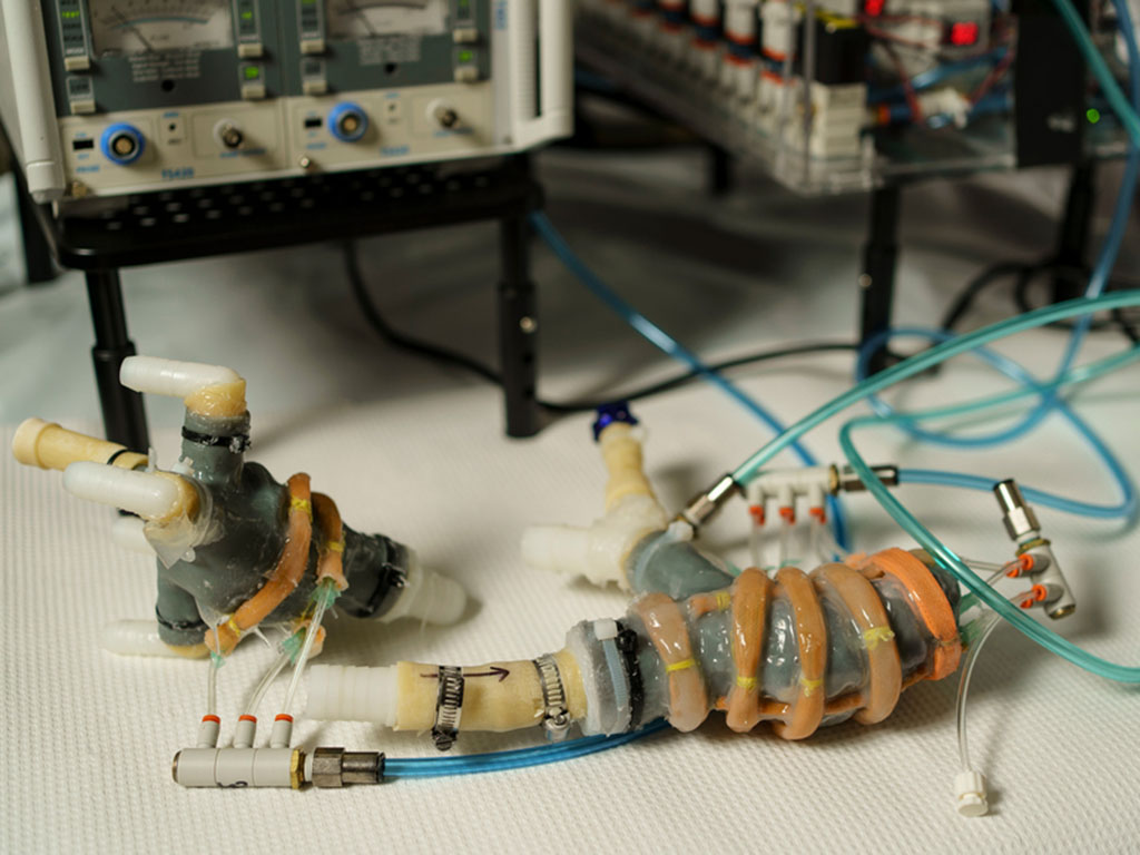 Pictured is a synthetic active heart model of an active left atrium and ventricle. “We can look at various devices and tune the heart, depending on what we’re trying to test,” says Roche about her lab’s models. Credits:Photo: Jodi Hilton