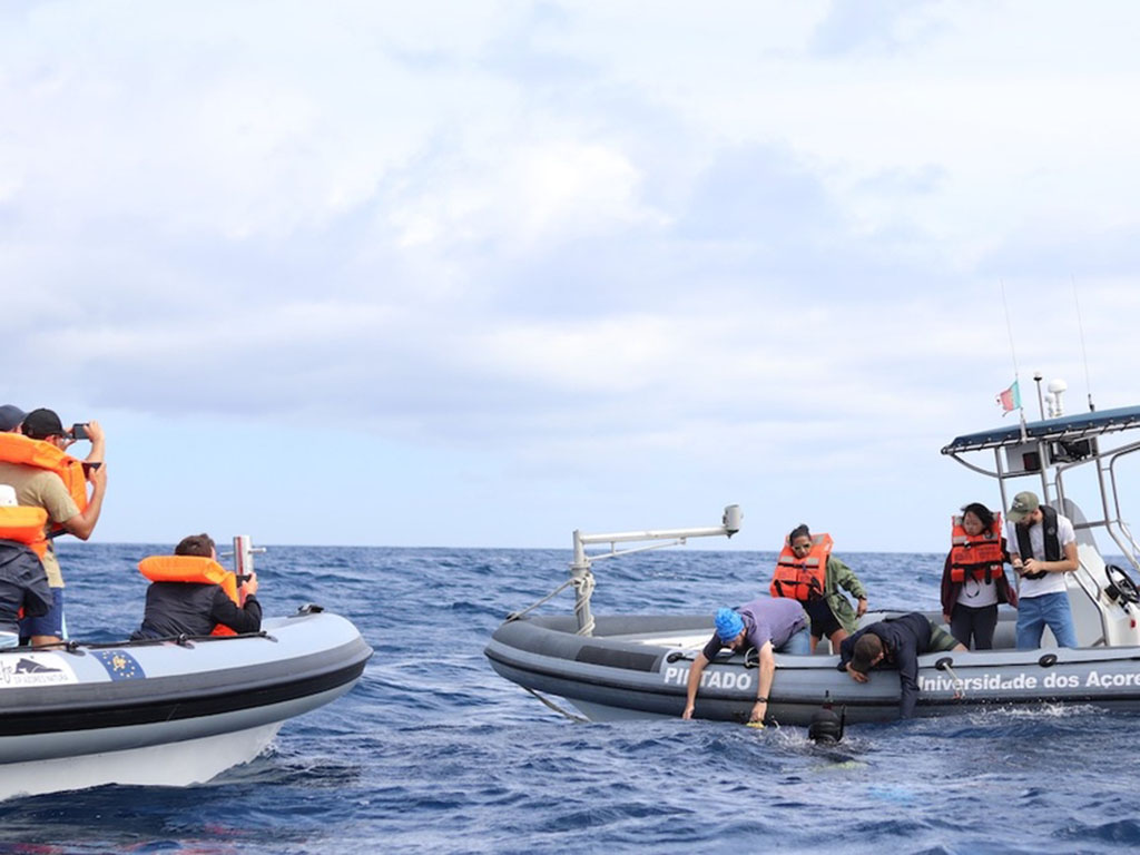 Students deploy autonomous underwater vehicles near Faial Island, Azores, in Portugal