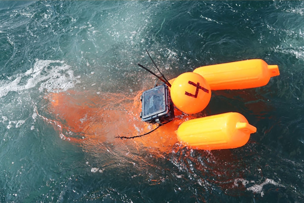 a human-sized mannequin buoy in the waters off of Martha’s Vineyard