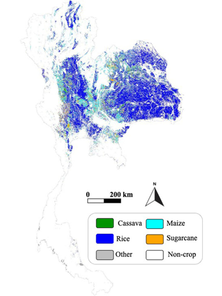 A map of Thailand shows areas of color, with most being dark blue representing rice. Maize is light blue, cassava is green, and sugarcane is orange.