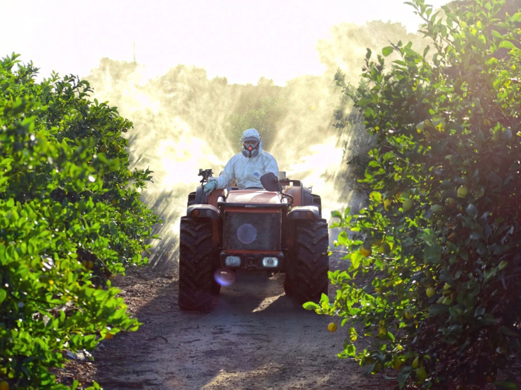 A farmer driving a tractor spraying pesticide and insecticide on a lemon plantation in Spain.