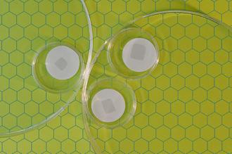 Stamp-sized graphene sheets riddled with holes could be boon for molecular separation