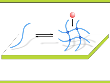 Engineers turn the body’s goo into new glue