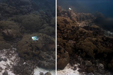  Imaging technique removes the effect of water in underwater scenes