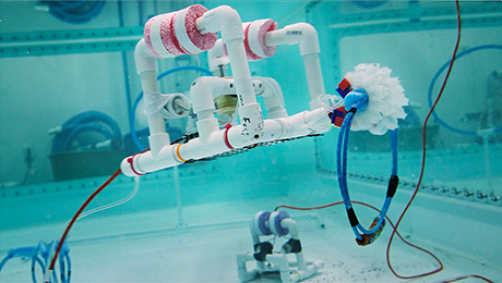 SeaPerch, a robot with a mission  